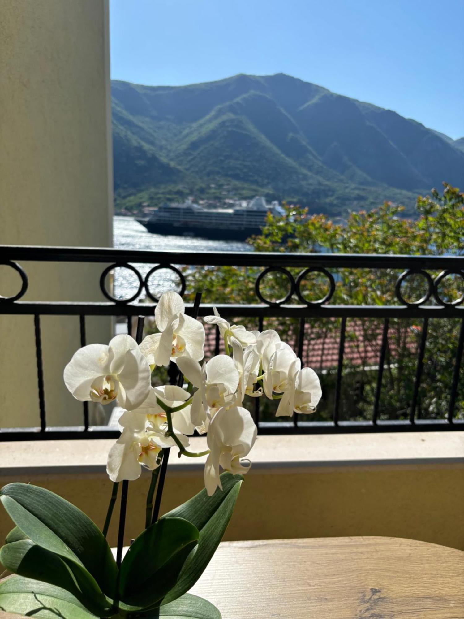 Modern Seaside Apartment With Balcony Tale Apartment Kotor Exterior photo